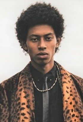 イソップモデル画像:モクタール